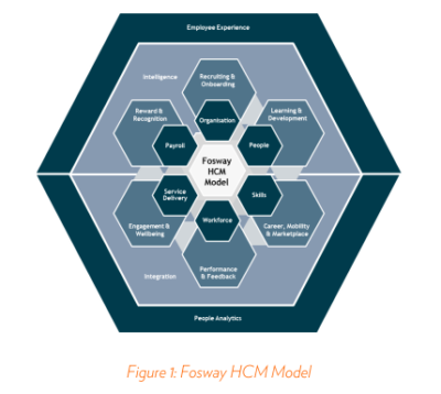 The Fosway Group HCM model