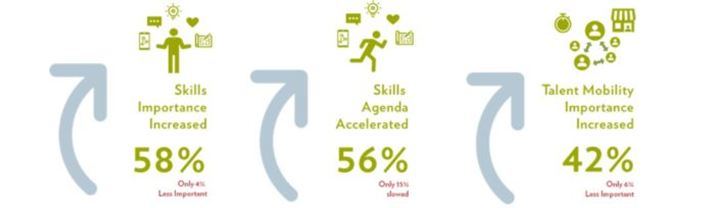 Upskilling and reskilling Fosway Group 130824 Fosway Group upskilling and reskilling image