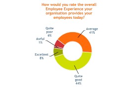 Fosway Group employee experience graphic 170924